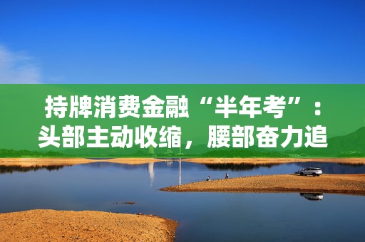 持牌消费金融“半年考”：头部主动收缩，腰部奋力追赶，尾部继续承压  第1张