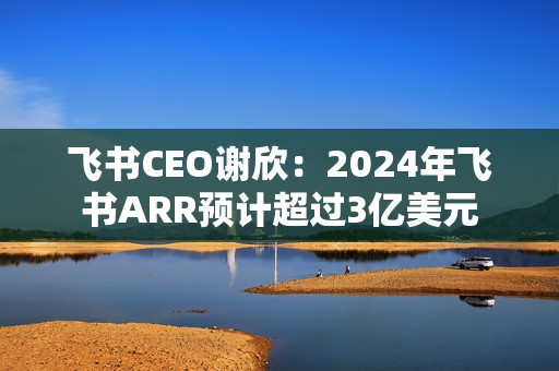 飞书CEO谢欣：2024年飞书ARR预计超过3亿美元