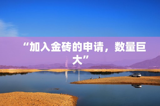 “加入金砖的申请，数量巨大”  第1张