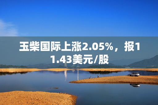 玉柴国际上涨2.05%，报11.43美元/股
