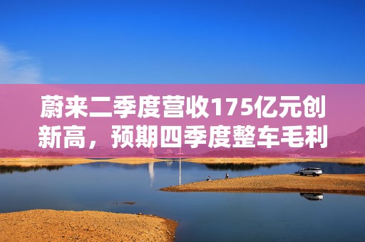 蔚来二季度营收175亿元创新高，预期四季度整车毛利率15%  第1张