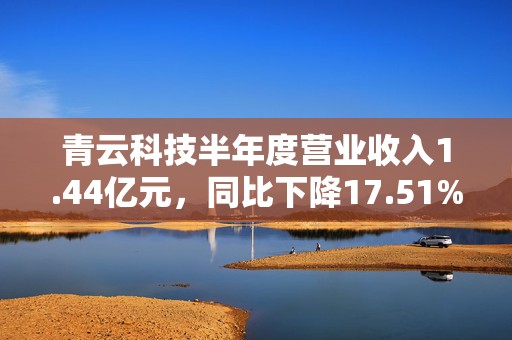 青云科技半年度营业收入1.44亿元，同比下降17.51%  第1张