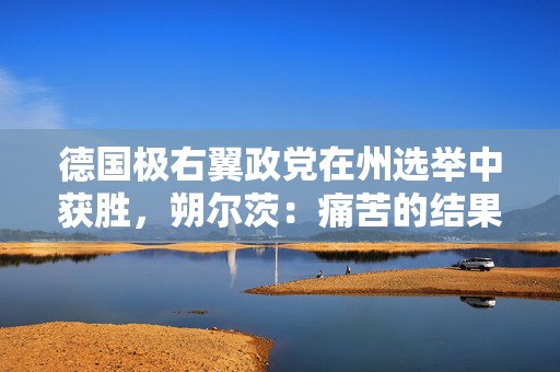 德国极右翼政党在州选举中获胜，朔尔茨：痛苦的结果  第1张