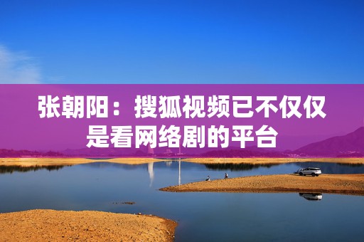 张朝阳：搜狐视频已不仅仅是看网络剧的平台