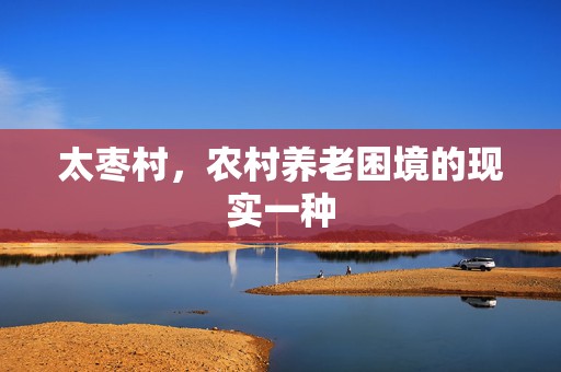 太枣村，农村养老困境的现实一种  第1张