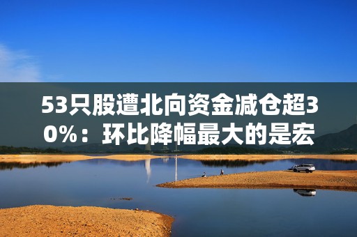 53只股遭北向资金减仓超30%：环比降幅最大的是宏昌电子，陆股通最新持有40.31万股，持股量环比降幅达77.67%  第1张