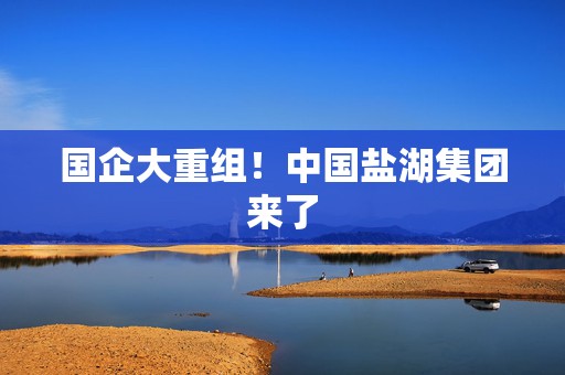 国企大重组！中国盐湖集团来了  第1张
