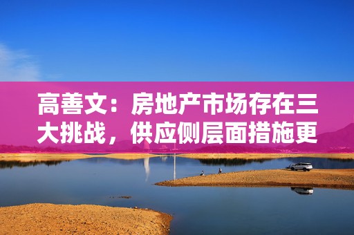高善文：房地产市场存在三大挑战，供应侧层面措施更重要  第1张