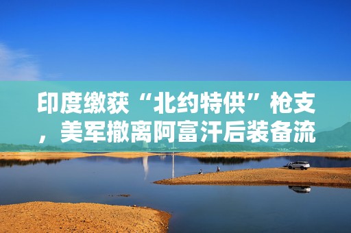 印度缴获“北约特供”枪支，美军撤离阿富汗后装备流入黑市  第1张