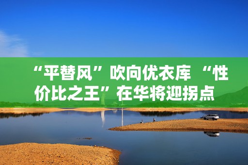 “平替风”吹向优衣库 “性价比之王”在华将迎拐点  第1张