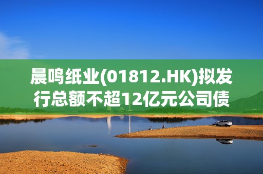 晨鸣纸业(01812.HK)拟发行总额不超12亿元公司债券  第1张