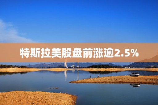 特斯拉美股盘前涨逾2.5%  第1张
