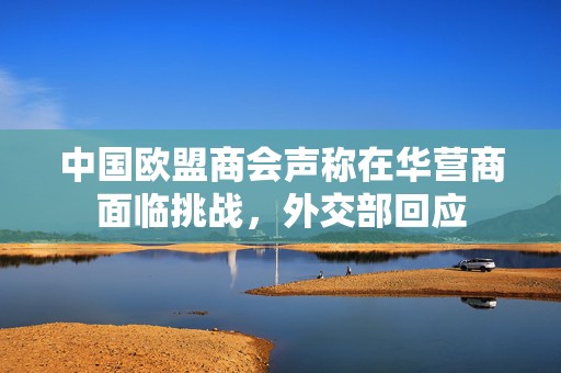 中国欧盟商会声称在华营商面临挑战，外交部回应