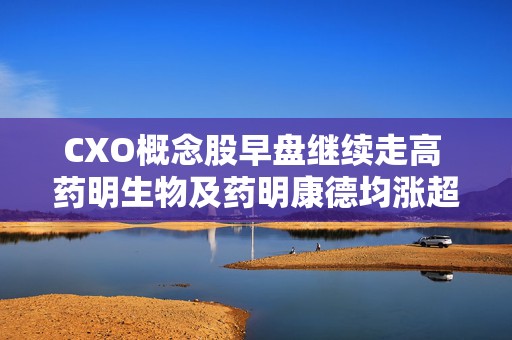 CXO概念股早盘继续走高 药明生物及药明康德均涨超4%
