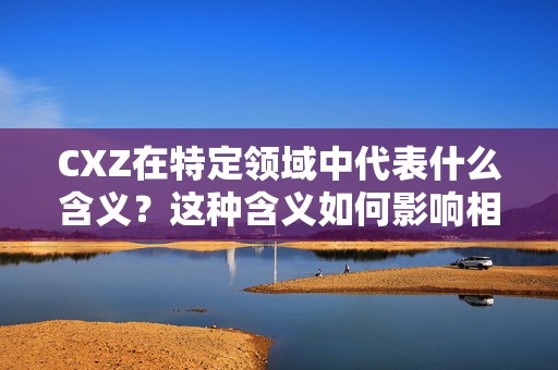 CXZ在特定领域中代表什么含义？这种含义如何影响相关行业？  第1张