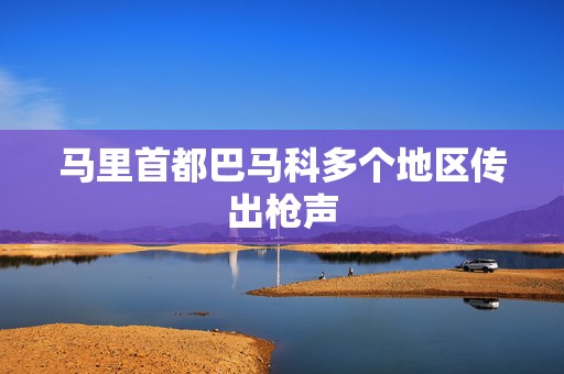 马里首都巴马科多个地区传出枪声  第1张