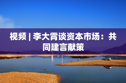 视频 | 李大霄谈资本市场：共同建言献策  第1张