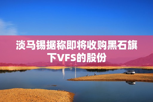 淡马锡据称即将收购黑石旗下VFS的股份  第1张