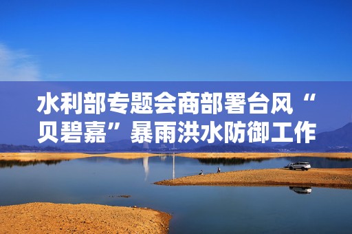 水利部专题会商部署台风“贝碧嘉”暴雨洪水防御工作