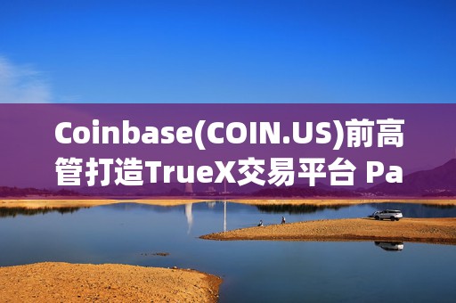 Coinbase(COIN.US)前高管打造TrueX交易平台 PayPal(PYPL.US)稳定币PYUSD成核心交易货币