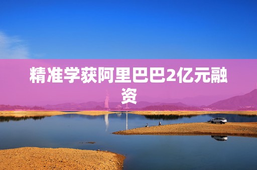 精准学获阿里巴巴2亿元融资  第1张