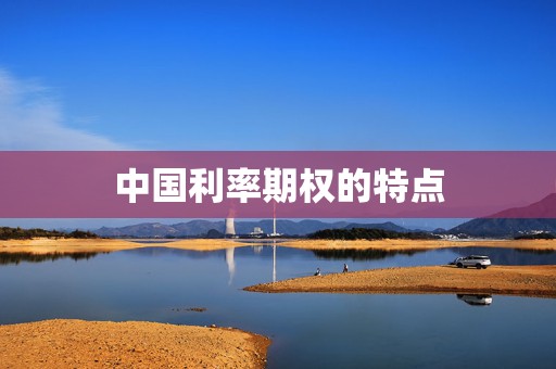 中国利率期权的特点