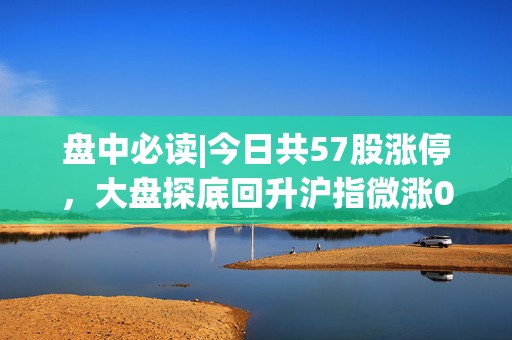 盘中必读|今日共57股涨停，大盘探底回升沪指微涨0.03%，信创概念再次爆发  第1张