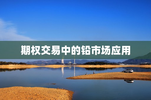 期权交易中的铅市场应用  第1张