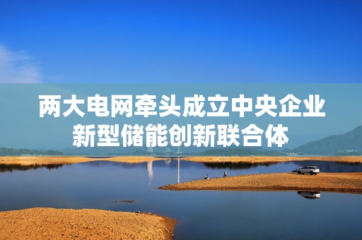 两大电网牵头成立中央企业新型储能创新联合体