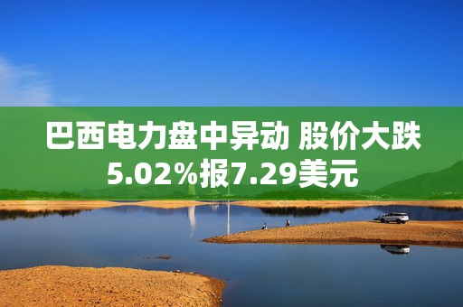 巴西电力盘中异动 股价大跌5.02%报7.29美元
