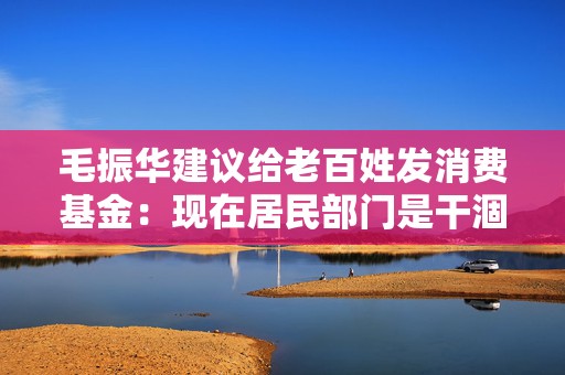 毛振华建议给老百姓发消费基金：现在居民部门是干涸的，要大水漫灌  第1张