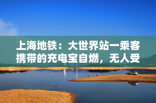 上海地铁：大世界站一乘客携带的充电宝自燃，无人受伤、未影响运营  第1张