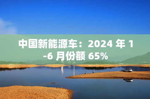 中国新能源车：2024 年 1-6 月份额 65%