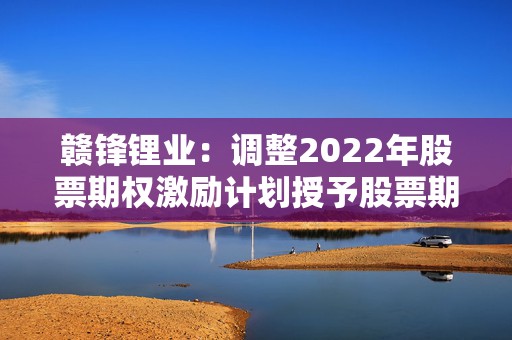 赣锋锂业：调整2022年股票期权激励计划授予股票期权行权数量  第1张