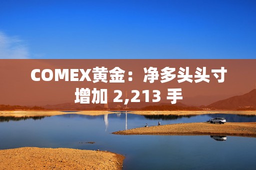 COMEX黄金：净多头头寸增加 2,213 手