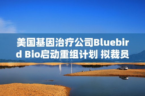 美国基因治疗公司Bluebird Bio启动重组计划 拟裁员25%  第1张