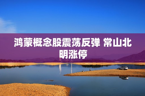 鸿蒙概念股震荡反弹 常山北明涨停