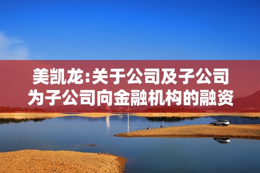 美凯龙:关于公司及子公司为子公司向金融机构的融资提供担保的公告  第1张