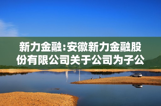 新力金融:安徽新力金融股份有限公司关于公司为子公司提供担保的公告  第1张