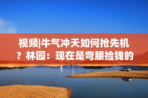 视频|牛气冲天如何抢先机？林园：现在是弯腰捡钱的好时机(观点汇总)