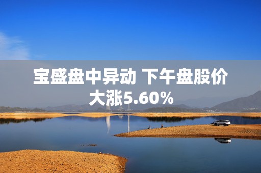 宝盛盘中异动 下午盘股价大涨5.60%