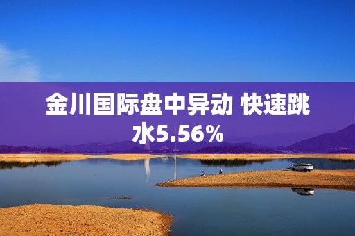 金川国际盘中异动 快速跳水5.56%