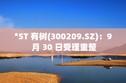 *ST 有树(300209.SZ)：9 月 30 日受理重整  第1张