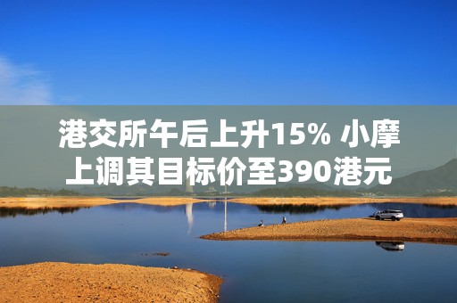 港交所午后上升15% 小摩上调其目标价至390港元  第1张