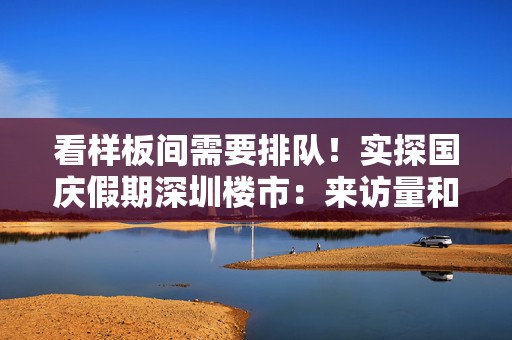 看样板间需要排队！实探国庆假期深圳楼市：来访量和成交量齐增，有项目两天卖了6.6亿元  第1张