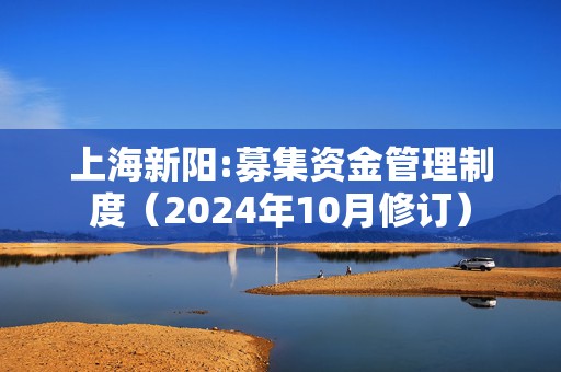 上海新阳:募集资金管理制度（2024年10月修订）  第1张