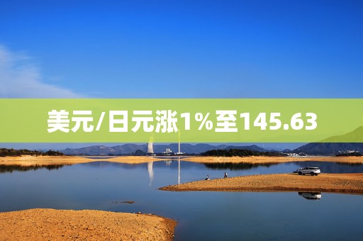 美元/日元涨1%至145.63  第1张