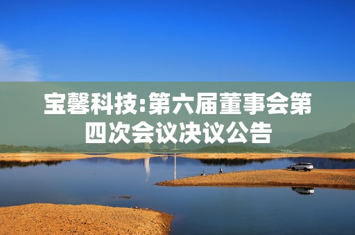 宝馨科技:第六届董事会第四次会议决议公告  第1张