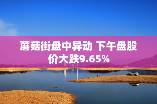 蘑菇街盘中异动 下午盘股价大跌9.65%