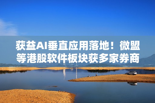获益AI垂直应用落地！微盟等港股软件板块获多家券商推荐